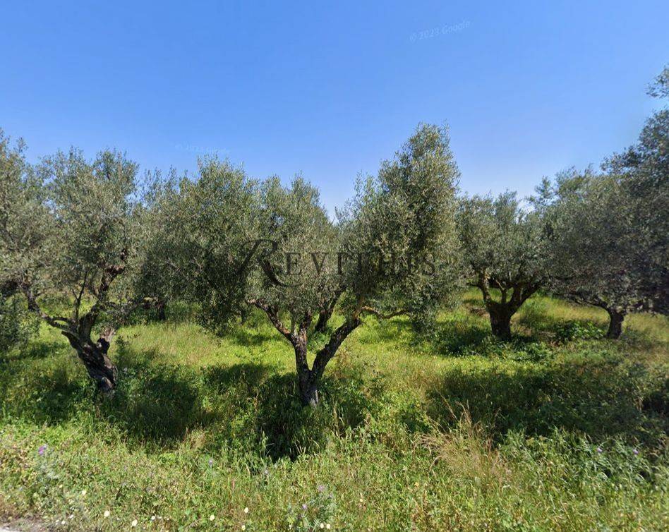 Εξωτερικοι χώροι