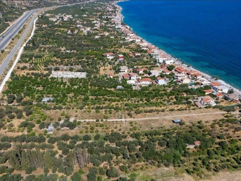 3 - Πωλείται γη έκτασης 10300 μ² στην Πελοπόννησο.