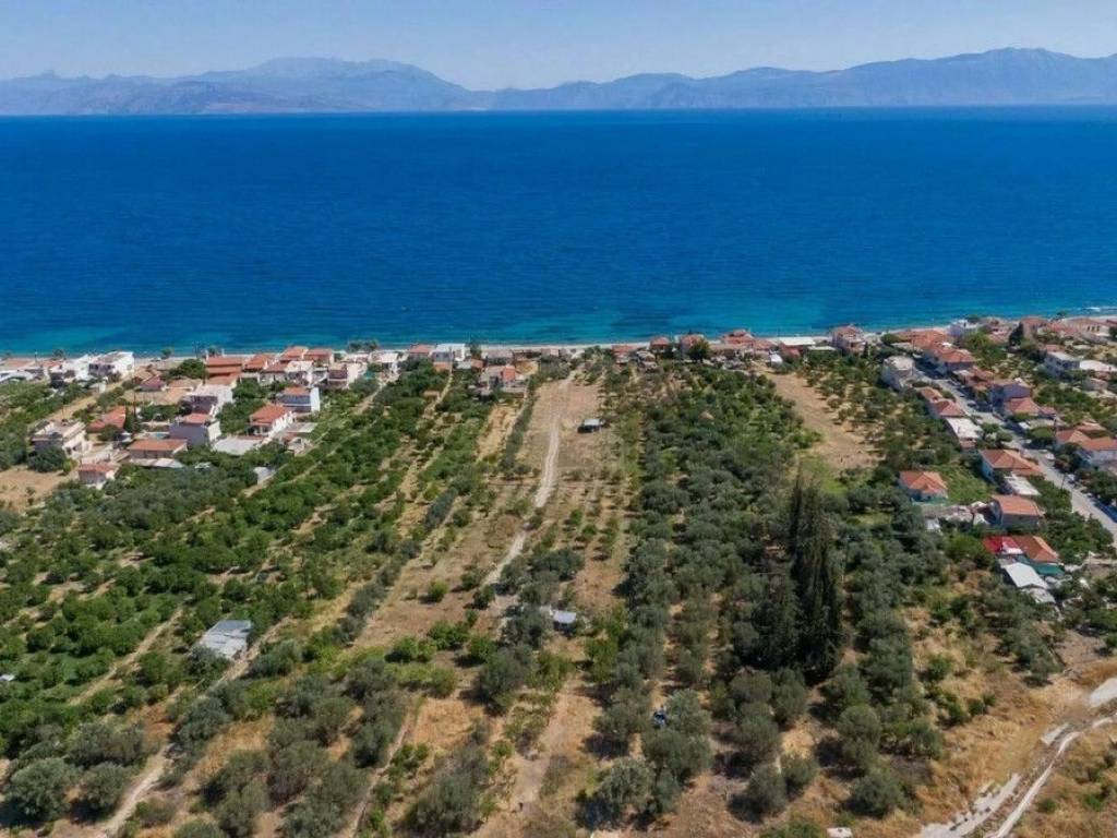 6 - Πωλείται γη έκτασης 10300 μ² στην Πελοπόννησο.