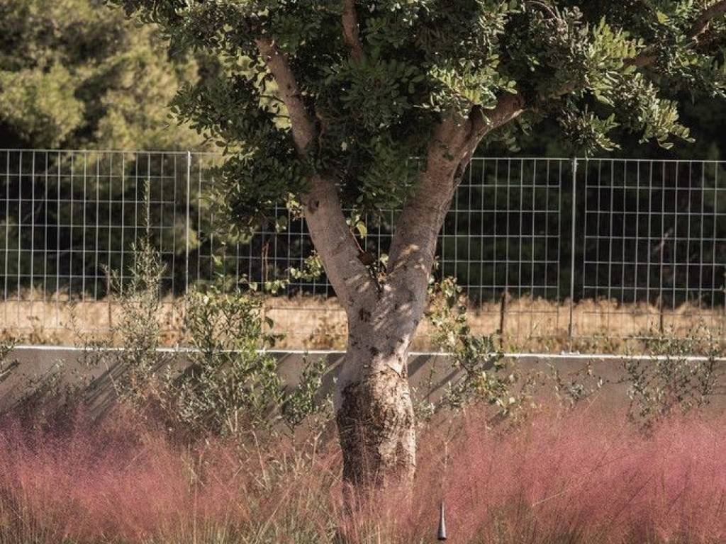 15 - Πωλείται 1-όροφη βίλλα έκτασης 200 τμ στην Αθήνα.