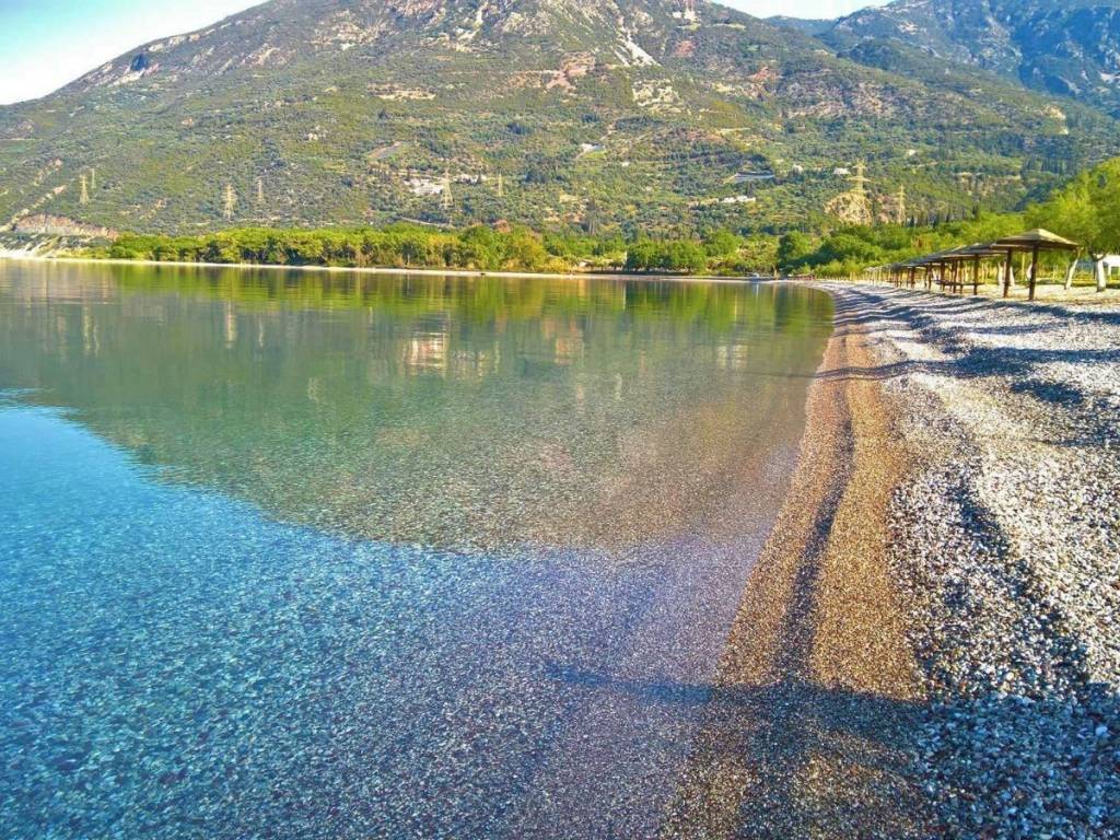 ΥΠΑΡΧΟΥΝ ΠΟΛΛΕΣ ΠΑΡΑΛΙΕΣ ΣΤΗΝ ΠΕΡΙΟΧΗ