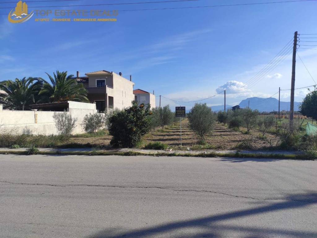 Συνολική άποψη του οικοπέδου