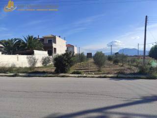 Συνολική άποψη του οικοπέδου