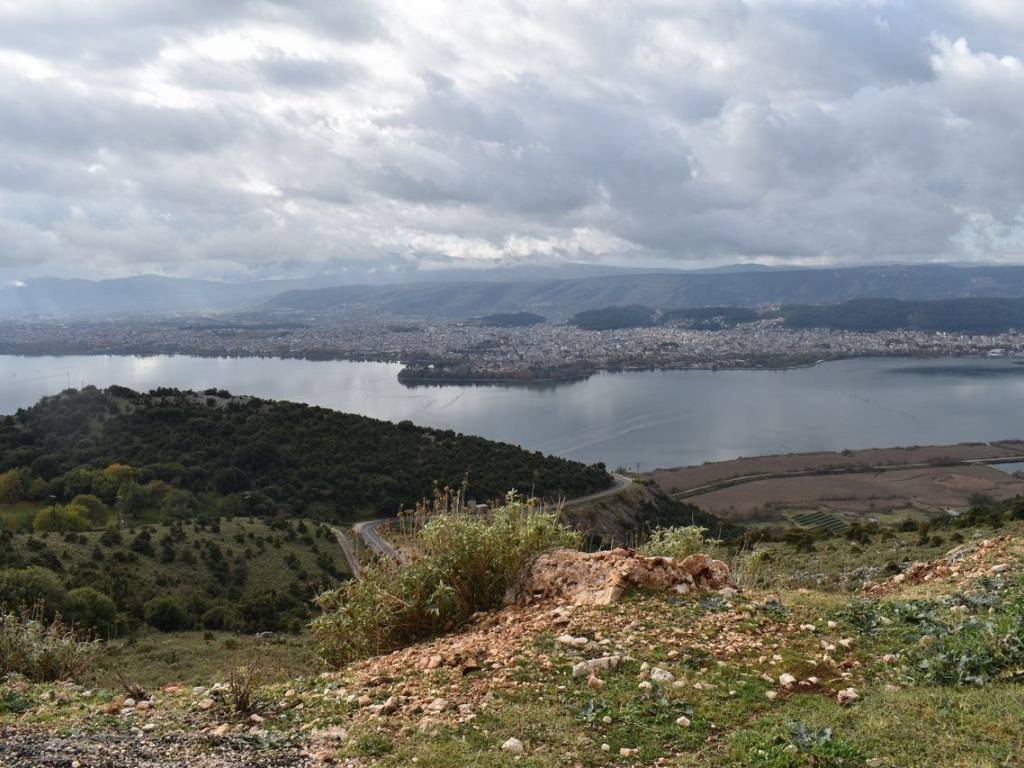 ΑΠΟΨΗ ΑΓΡΟΤΕΜΑΧΙΟΥ