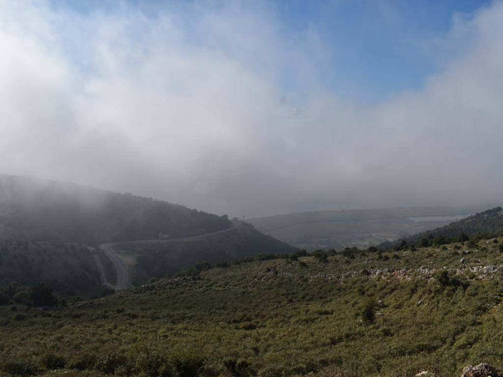 ΑΠΟΨΗ ΑΓΡΟΤΕΜΑΧΙΟΥ