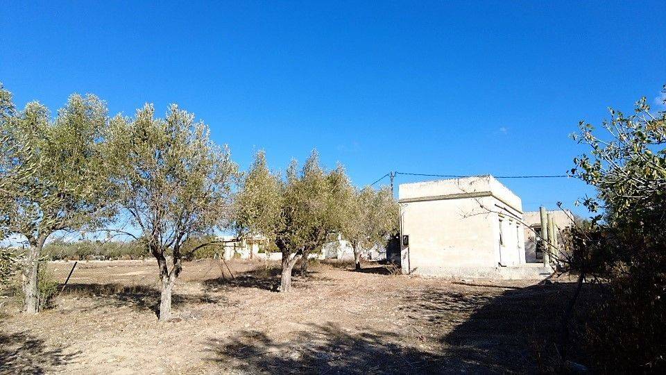 VIEW TO THE NORTH FROM PLOT ENTRANCE