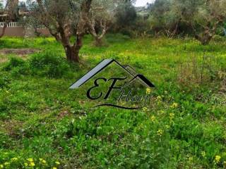 Άποψη Οικοπέδου