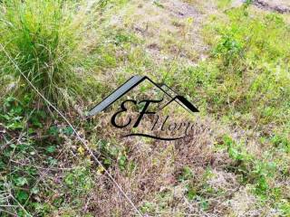 Άποψη Οικοπέδου