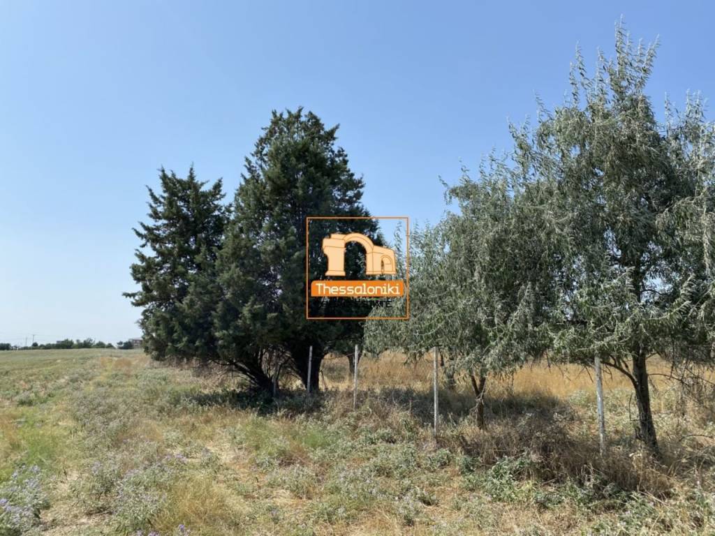 Παλαιόκαστρο, Αγροτεμάχιο, 1.000 τ.μ.