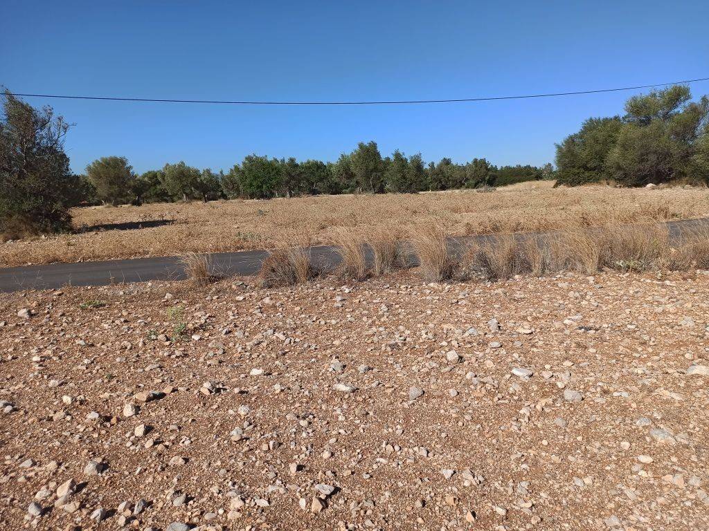 ΤΜΗΜΑ ΤΟΥ ΑΓΡΟΤΕΜΑΧΙΟΥ