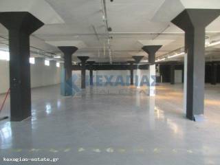 ΕΣΩΤΕΡΙΚΗ ΛΗΨΗ