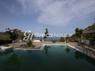 Excellent furnished villa for sale in Epidaurus