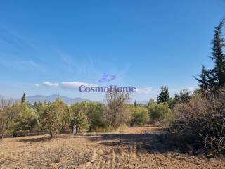 ΑΓΡΟΤΕΜΑΧΙΟ