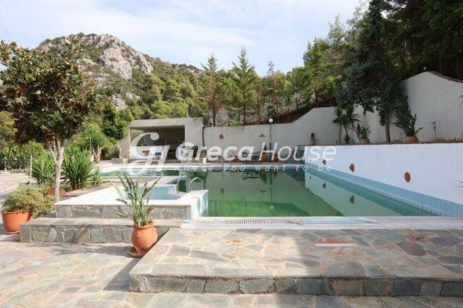 Excellent furnished villa for sale in Epidaurus