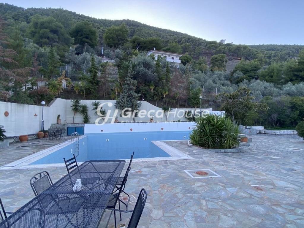 Excellent furnished villa for sale in Epidaurus