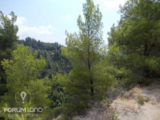 Forumland Real Estate, Agrotemachio