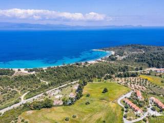 Forumland Real Estate, παλιούρι