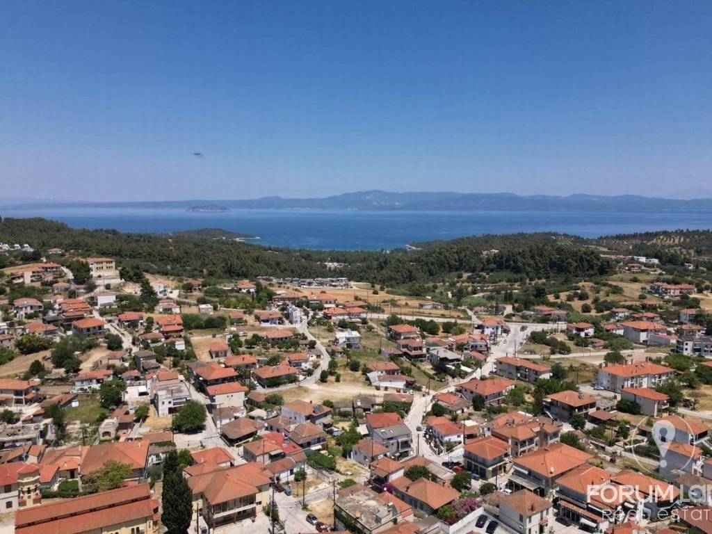 Forumland Real Estate, παλιούρι