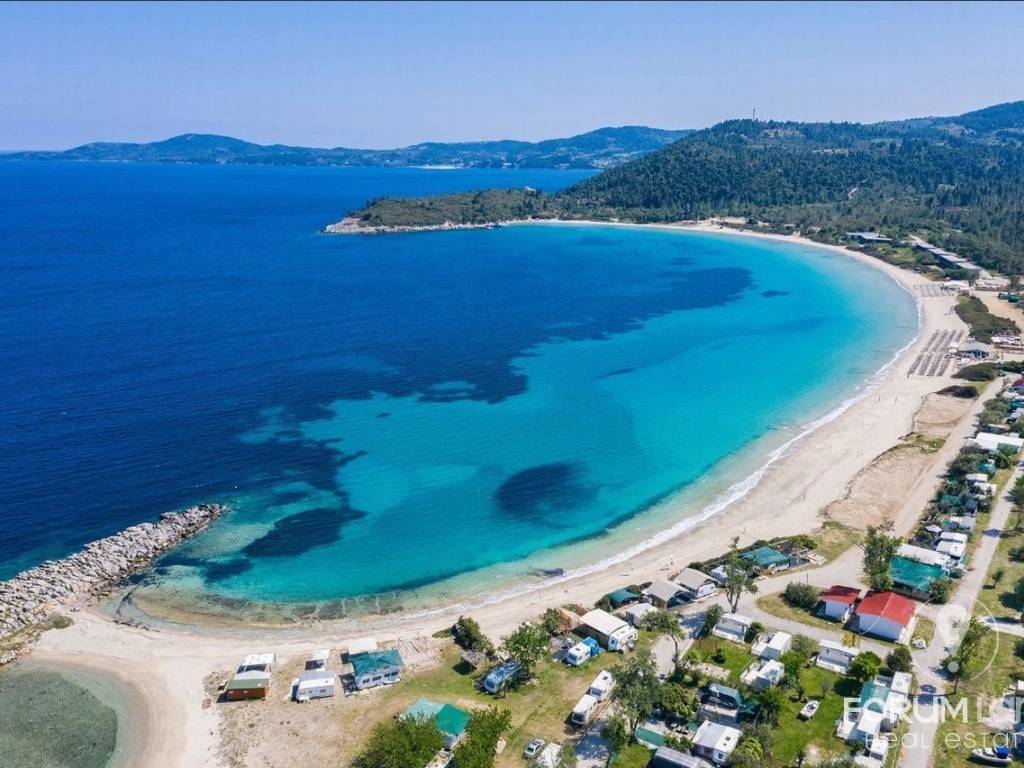 Forumland Real Estate, παλιούρι