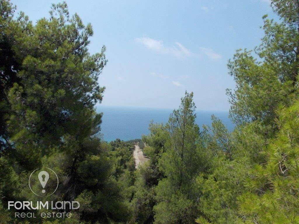 Forumland Real Estate, Αγροτεμάχιο