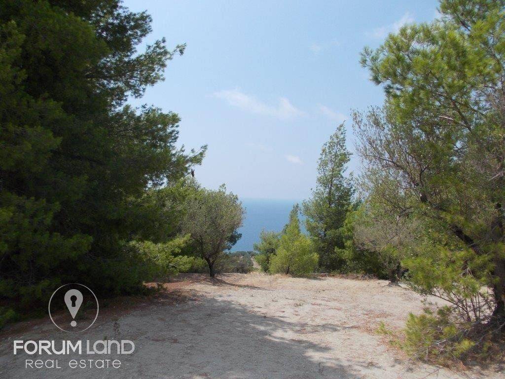 Forumland Real Estate,  αγροτεμάχιο