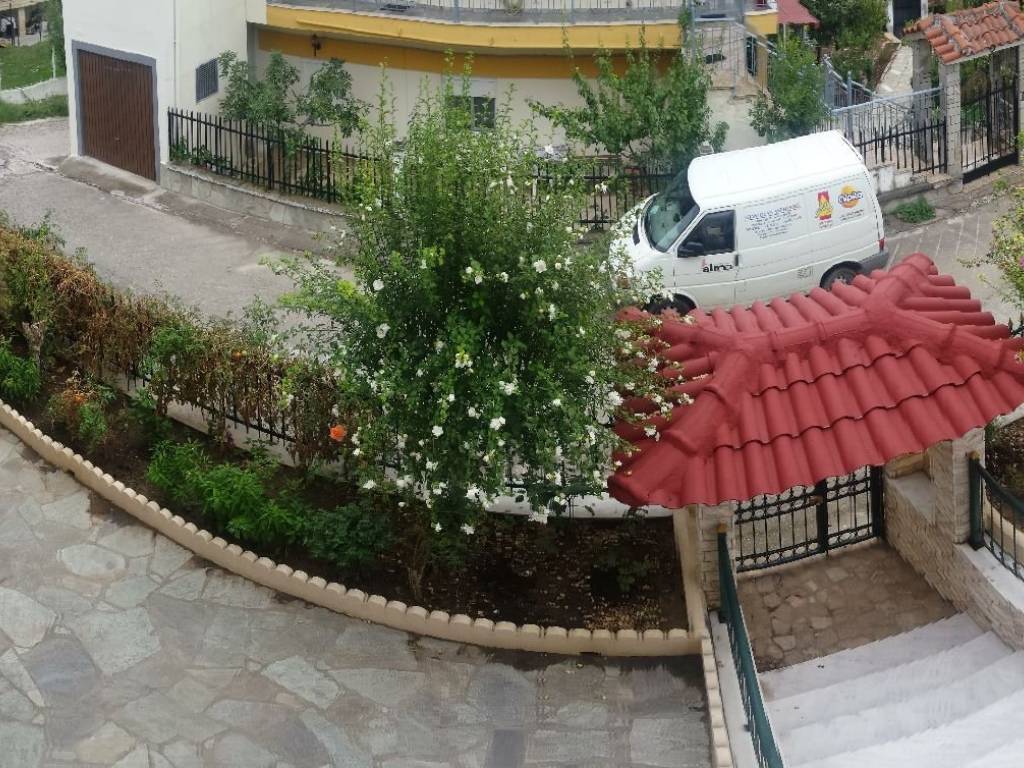 Αυλή και κήπος