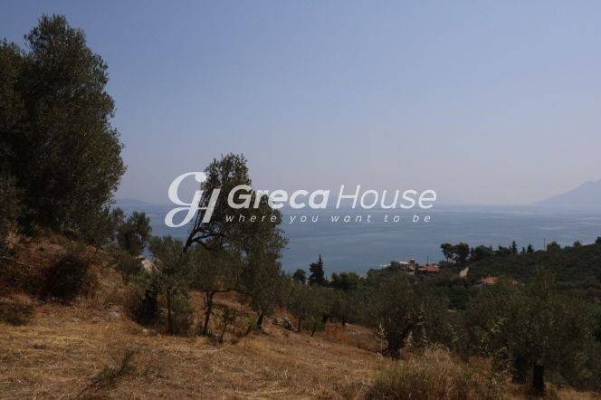 Sloping Plot with Sea View for Sale in Ancient Epidaurus