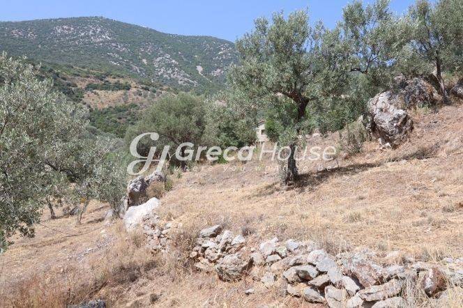 Sloping Plot with Sea View for Sale in Ancient Epidaurus