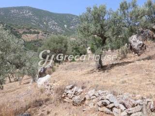 Sloping Plot with Sea View for Sale in Ancient Epidaurus