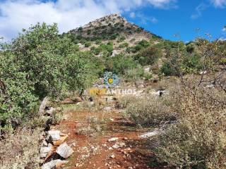 Οικόπεδο