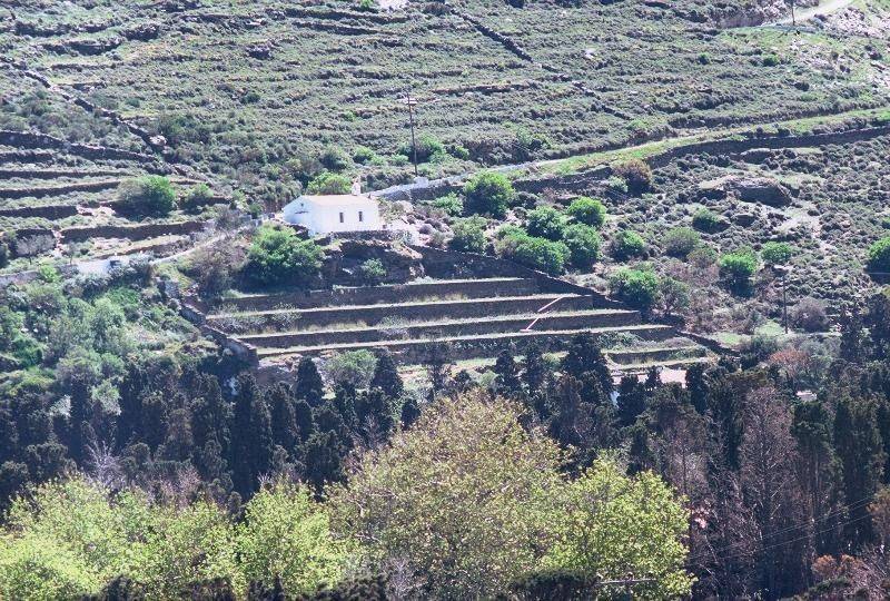 αγροτεμαχιο 10,6 στρεμ απέναντι απο ΧΩΡΑ-ΑΝΔΡΟ