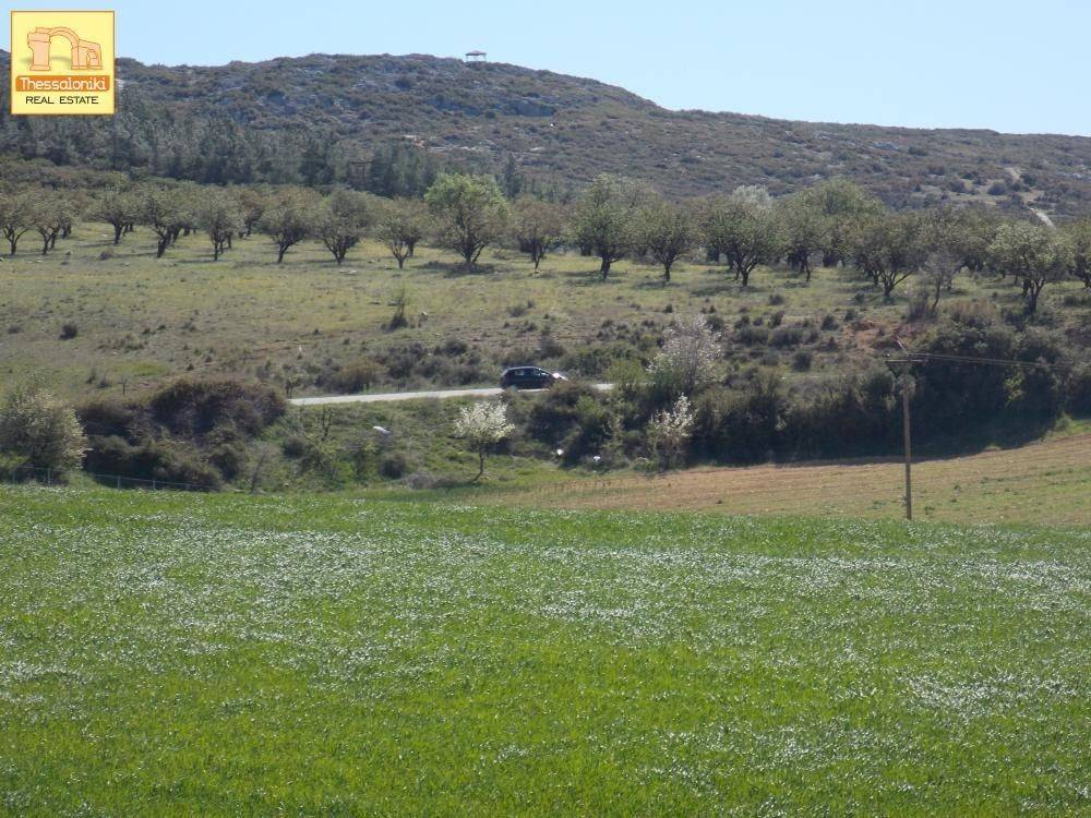 Πετράλωνα, Αγροτεμάχιο, 5.576 τ.μ.