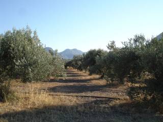 ΑΓΡΟΚΤΗΜΑ