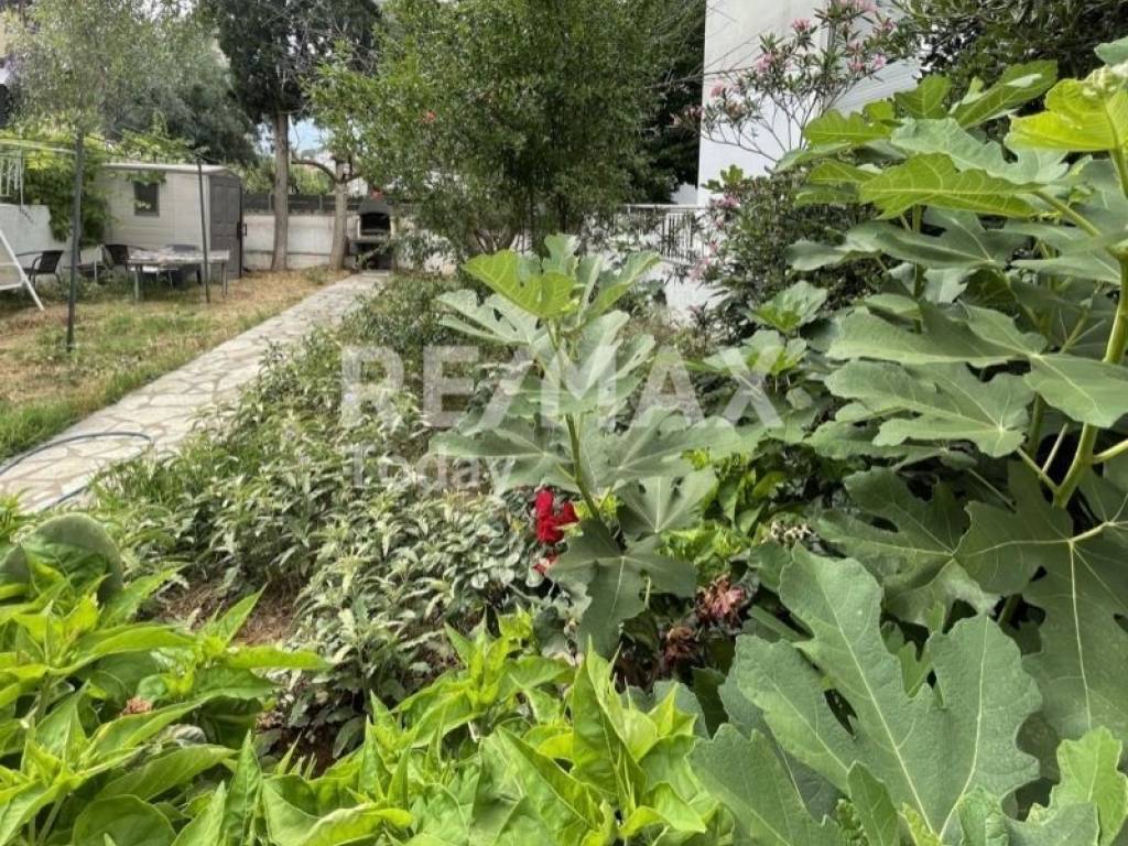 Ύπαρξη ανθρώπου