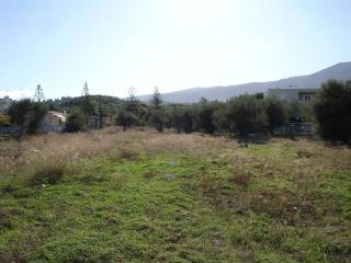 ΑΓΡΟΤΕΜΑΧΙΟ