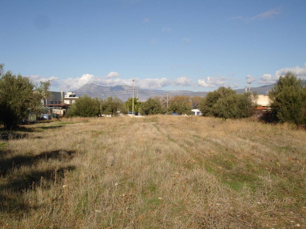 ΑΓΡΟΤΕΜΑΧΙΟ