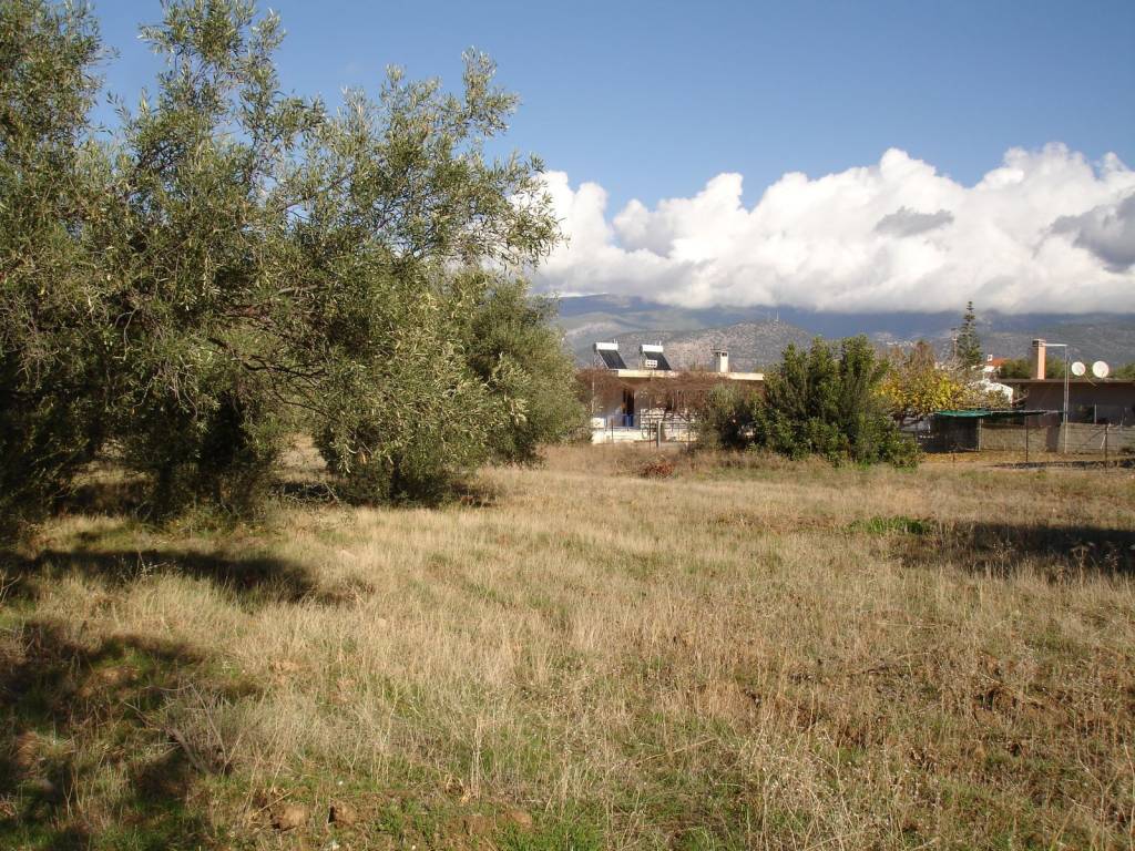 ΑΓΡΟΤΕΜΑΧΙΟ