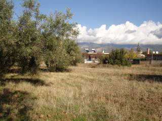 ΑΓΡΟΤΕΜΑΧΙΟ