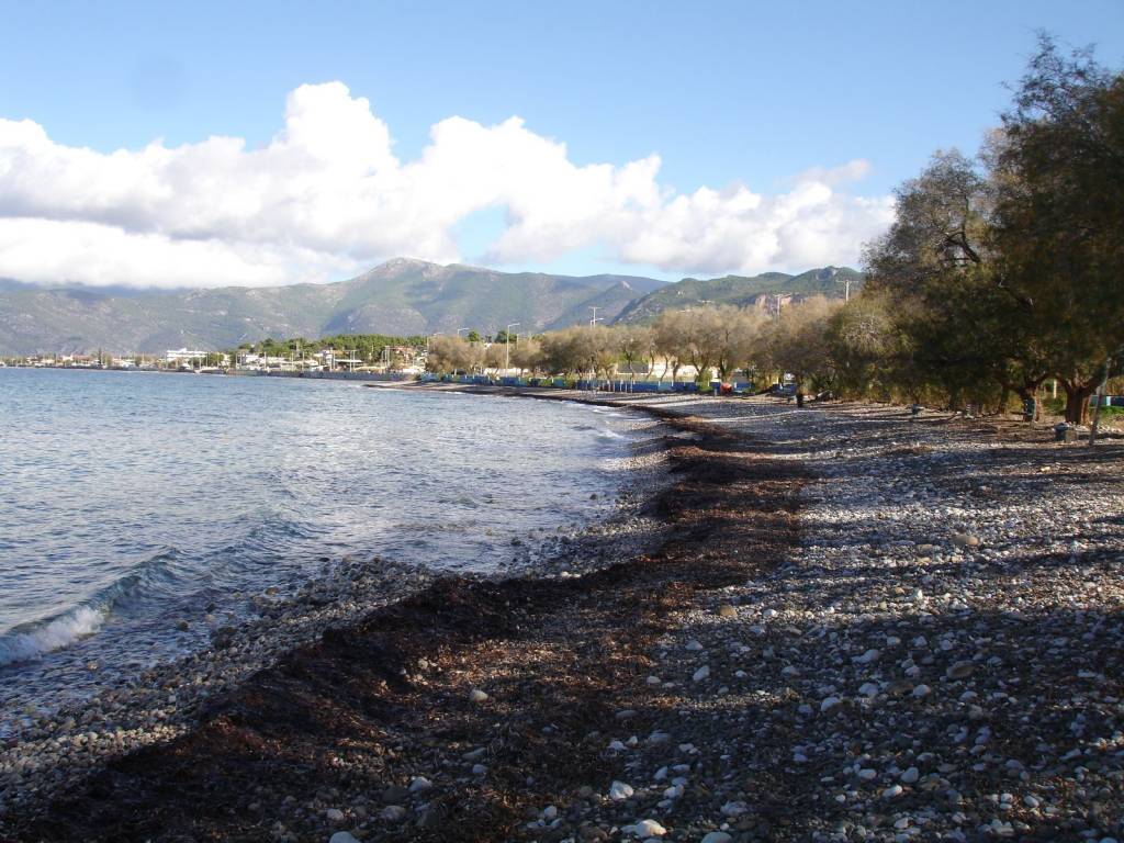 ΠΑΡΑΛΙΑ ΜΠΡΟΣΤΑ ΑΠΟ ΤΟ ΑΓΡΟΤΕΜΑΧΙΟ