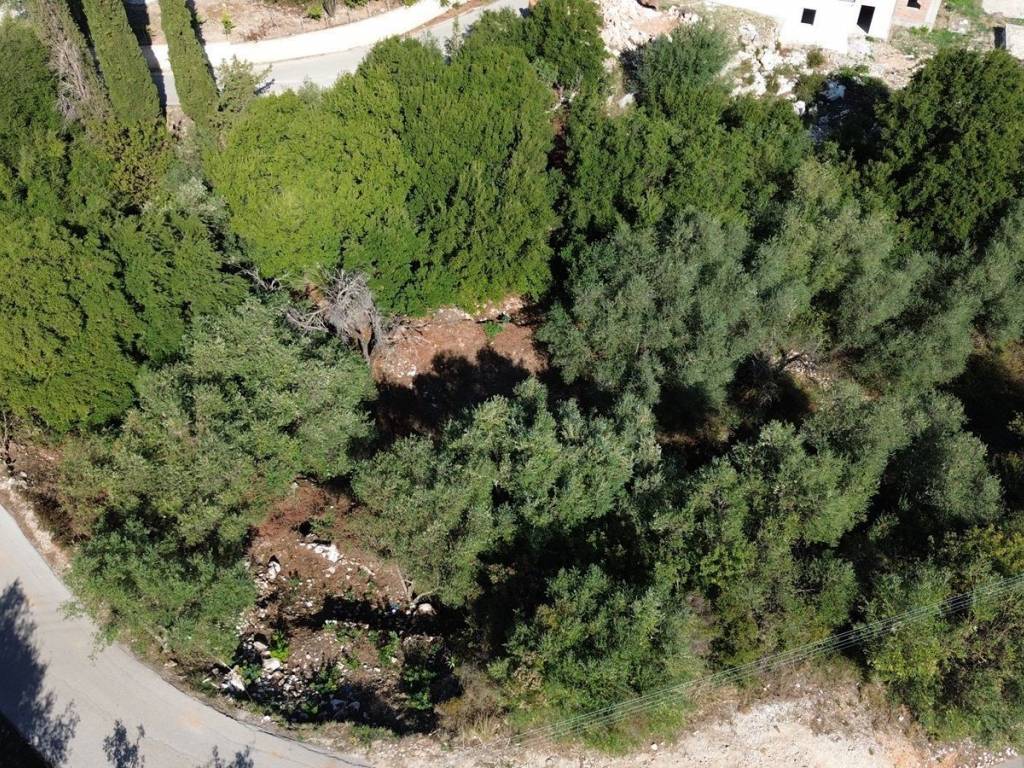 Aerial view of the plot