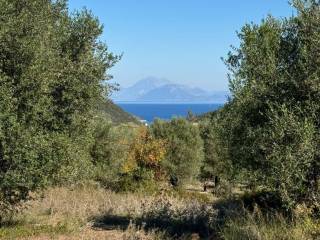 Olive groves and sea views of land for sale