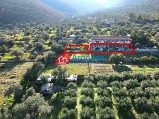 Ύπαρξη ανθρώπου