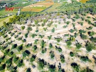 Εξωτερικοι χώροι