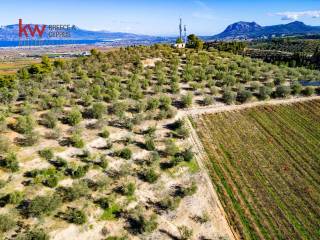 Εξωτερικοι χώροι