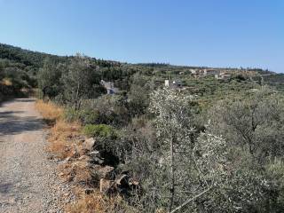 Βρίσκεται πολύ κοντά στο Κοτρώνι