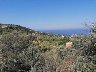 Βρίσκεται 700 μ από τις παραλίες του Αγίου Δημητρίου