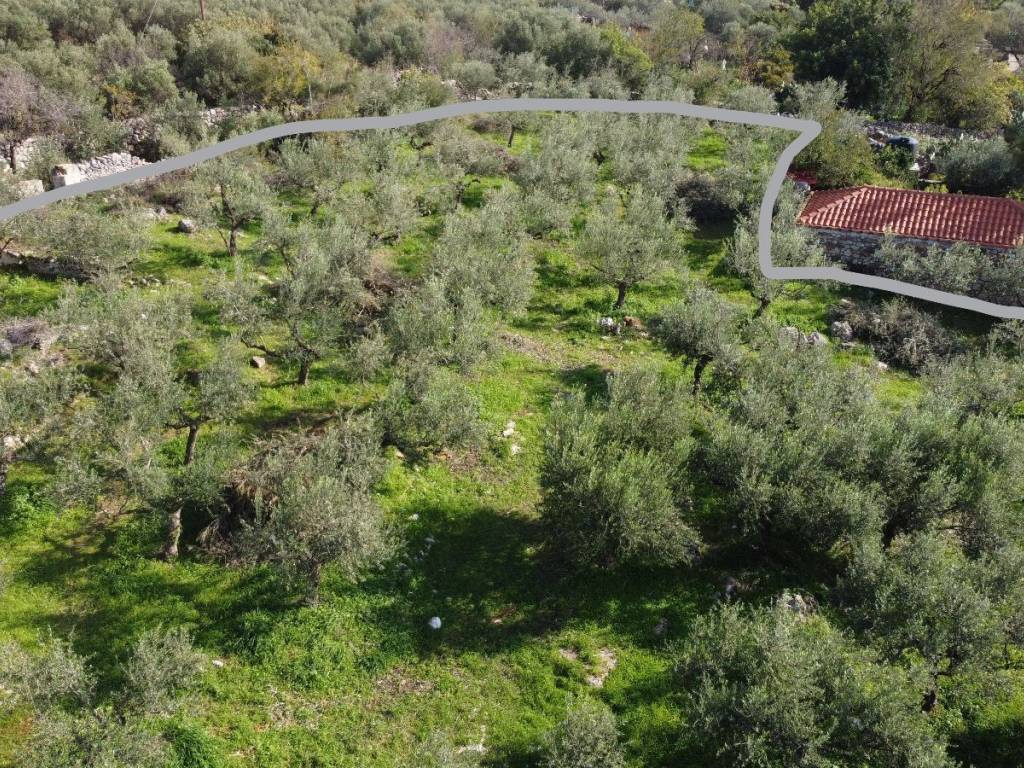 Στα νότια ανατολικά συνορεύει με κατοικία.