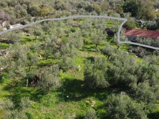 Στα νότια ανατολικά συνορεύει με κατοικία.