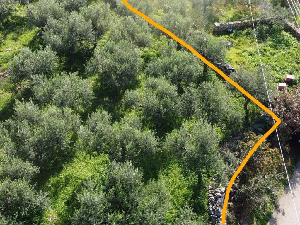 Τα νότιο δυτικά σύνορά του οικοπέδου.