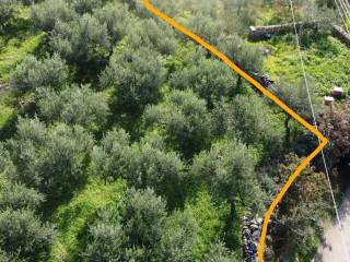 Τα νότιο δυτικά σύνορά του οικοπέδου.